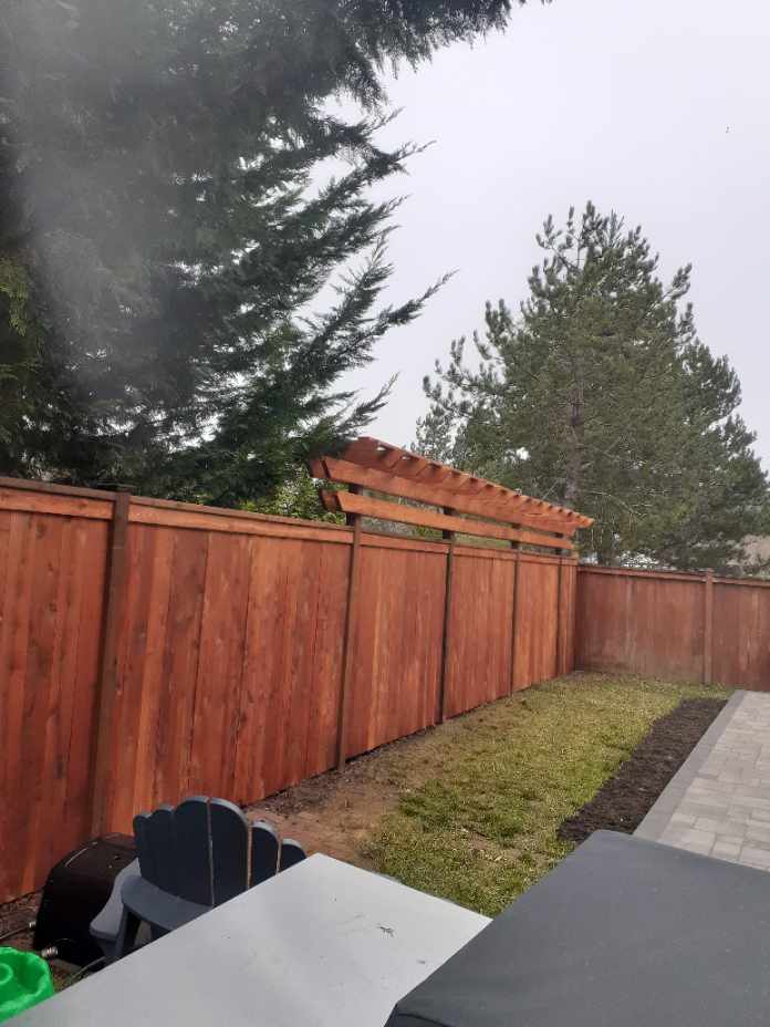 Cedar fence with pergola in backyard with patio furniture